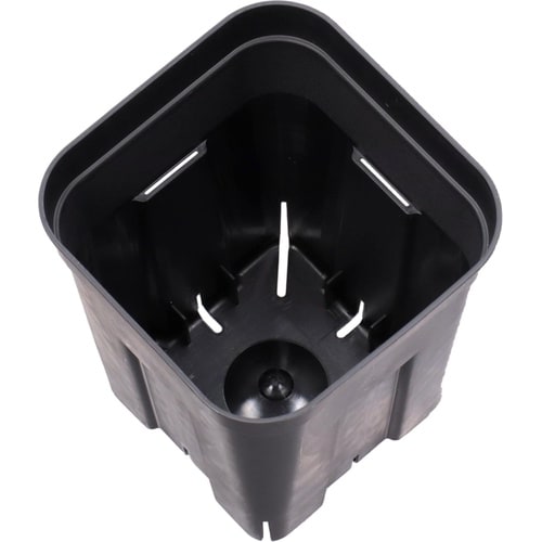 プレステラ 深型105 5個組 ブラック