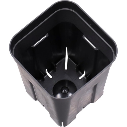 プレステラ 深型120 5個組 ブラック