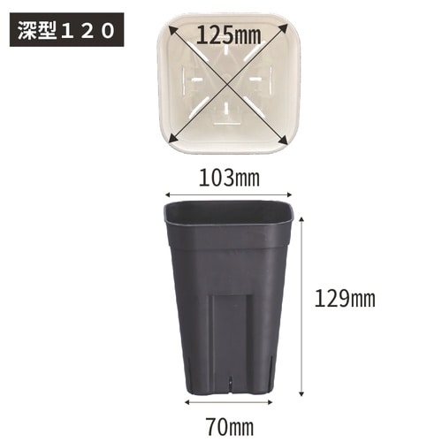 プレステラ 深型120 5個組 ブラック