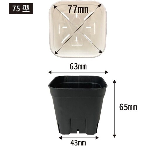 プレステラ75 10個組 ブラック