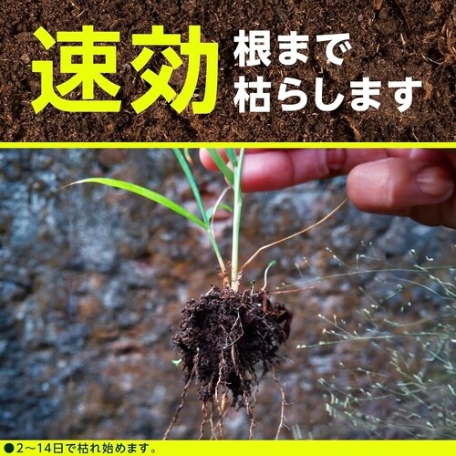 アース草消滅 4.5L