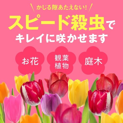 花いとしエコパック 850ml