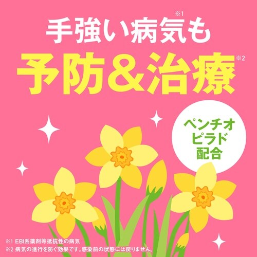 花いとしエコパック 850ml