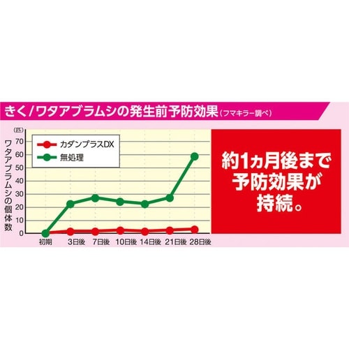 カダンプラスDX 1000ml