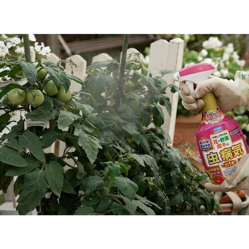 カダンプラスDX 1000ml