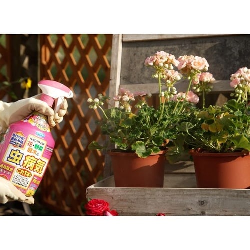 カダンプラスDX 1000ml