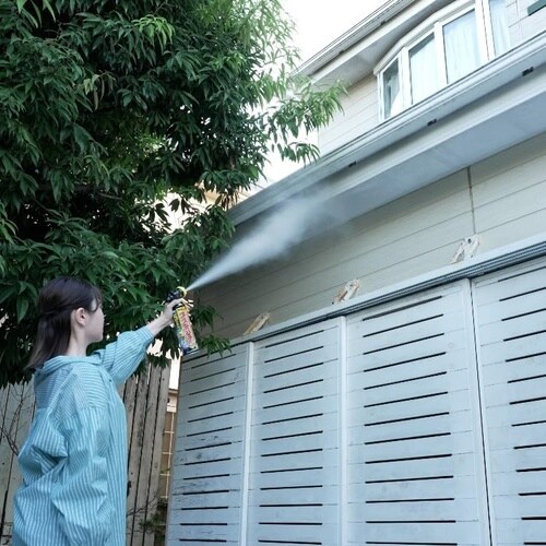 カダンスズメバチバズーカジェット 550ml