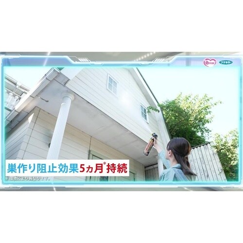 カダンスズメバチバズーカジェット 550ml