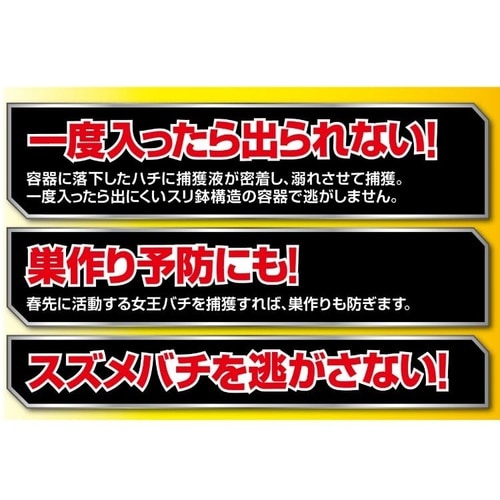 カダンハチ超激取れ 2個入