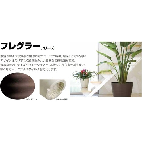 フレグラープレート 43型用 アイボリー