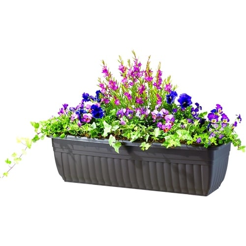 NBプランター 65型 ダークブラウン