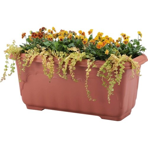 クイーン深型 600 ブラウン