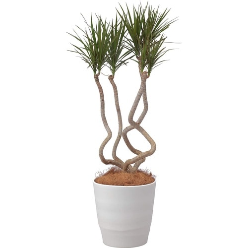 アトリエ ポット 30型 ホワイト