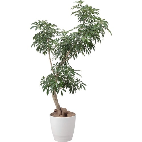 アトリエ ポット 37型 ホワイト