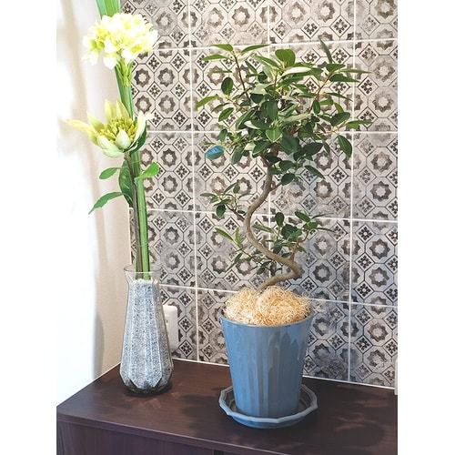 グロスポット 8号 ダークグレー