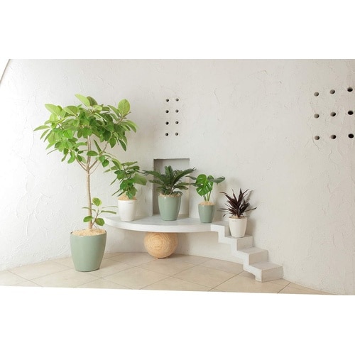 ラスターポット 300型 ホワイト