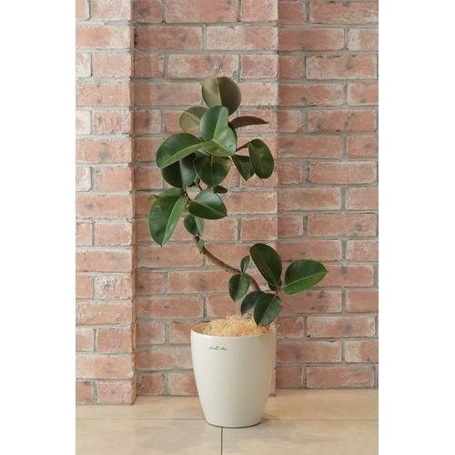 ラスターポット 370型 ホワイト