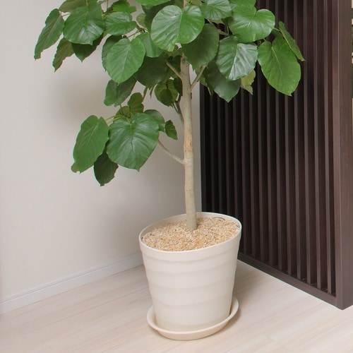 クラフトポット 35型 ホワイト