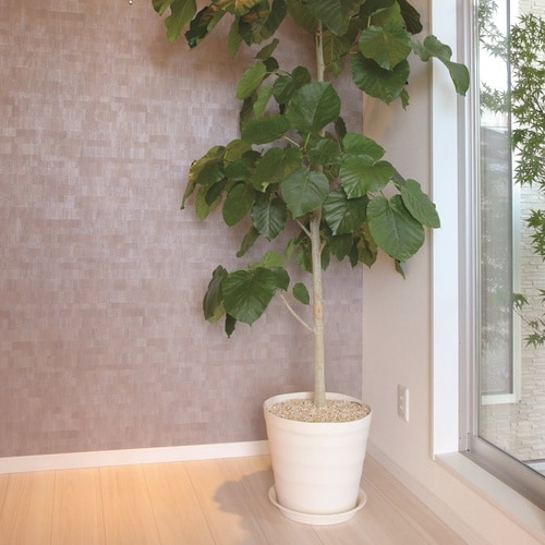 クラフトポット 40型 ホワイト