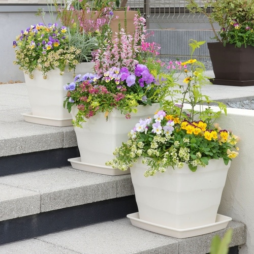 クラフトスクエア 30型 ホワイト