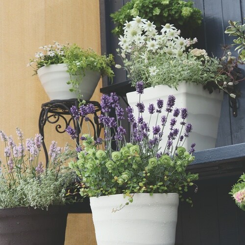 クラフトボール 24型 ホワイト