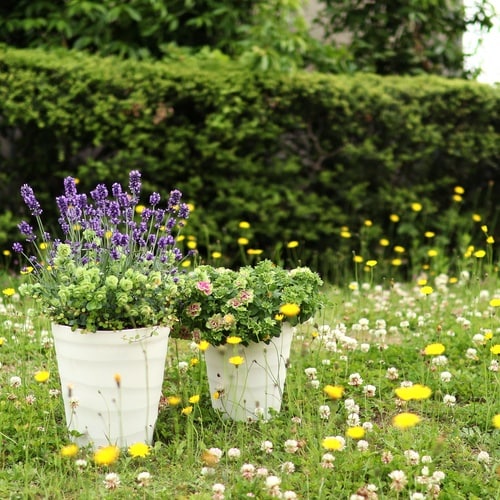 クラフトポット 21型 ホワイト