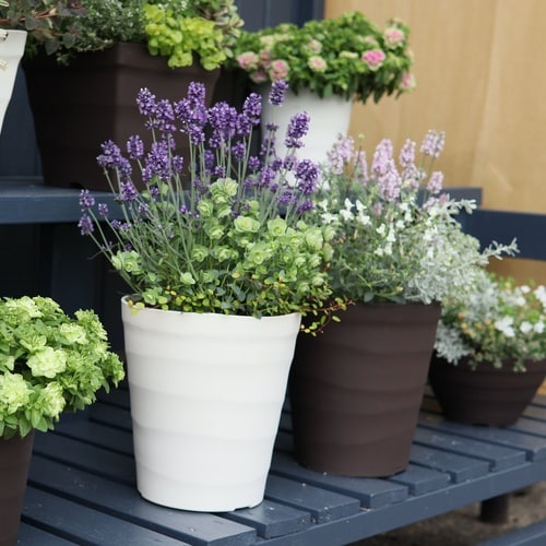 クラフトポット 24型 ホワイト