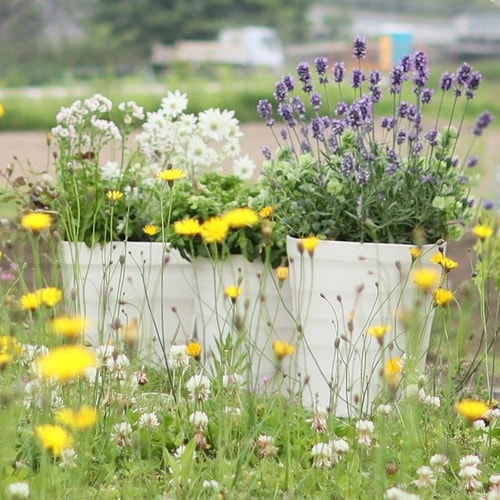 クラフトポット 24型 ホワイト