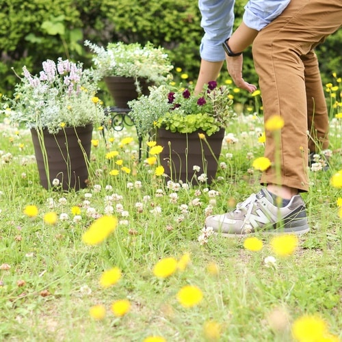 クラフトポット 24型 ダークブラウン