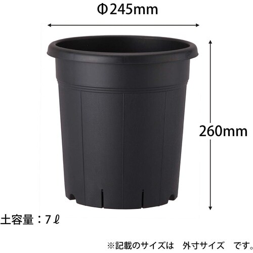 果樹鉢 245型 ブラック