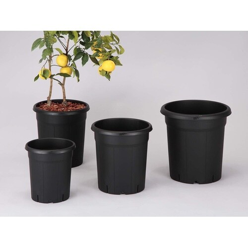 果樹鉢 245型 ブラック