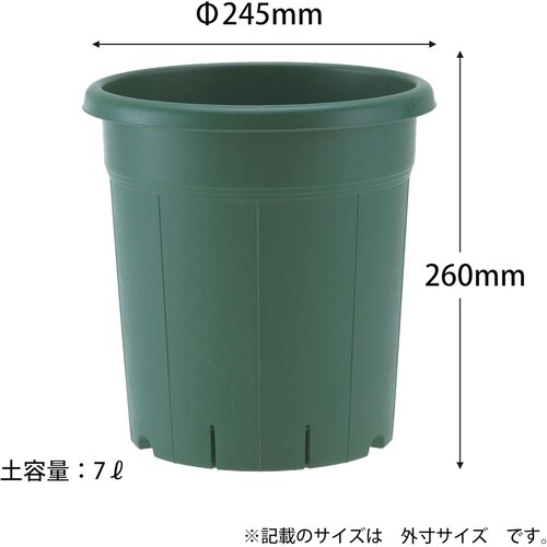 バラ鉢 8号 グリーン