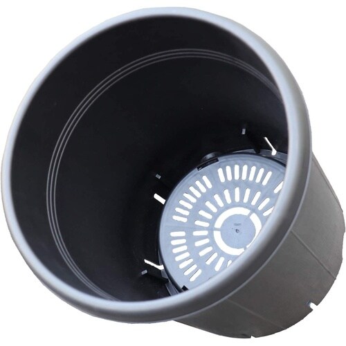 果樹鉢 365型 ブラック