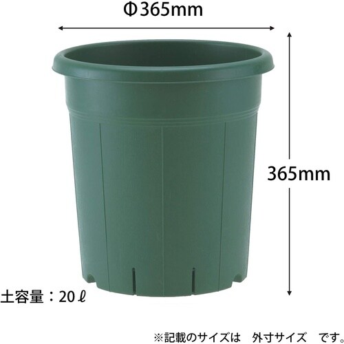 バラ鉢 12号 グリーン