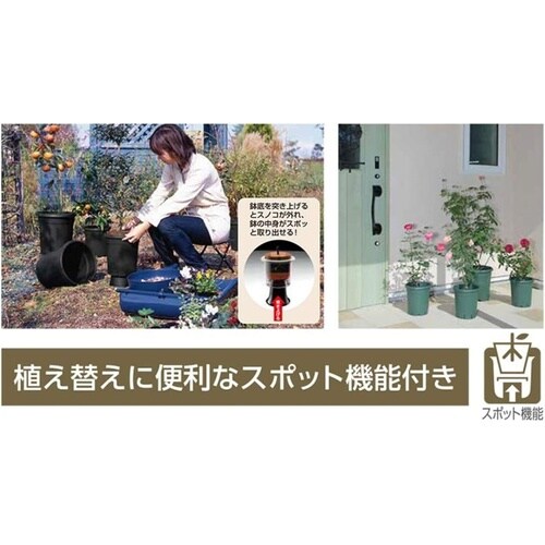 バラ鉢 12号 グリーン