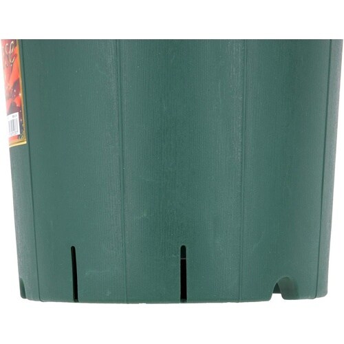 バラ鉢 12号 グリーン