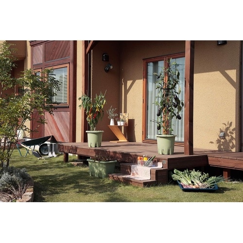 楽々菜園 深型 600 支柱用フレーム付 サラダG