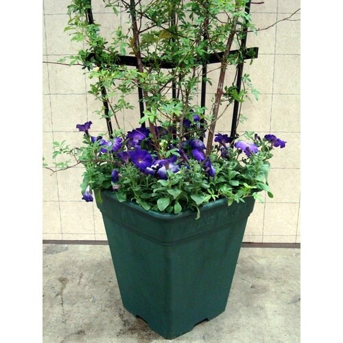 ロゼアスクエア 330型 グリーン