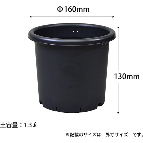 菊鉢 5号 ブラック