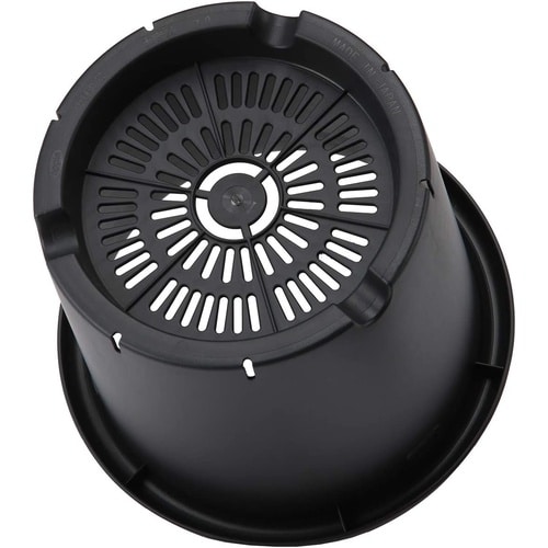 菊鉢 10号 ブラック