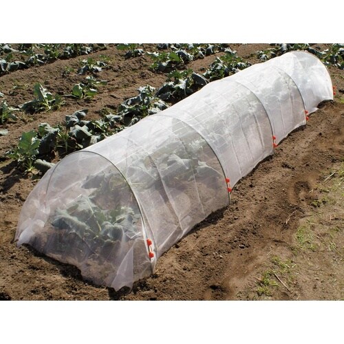 トンネルパッカー 50個入 径8mm用ライトブルー