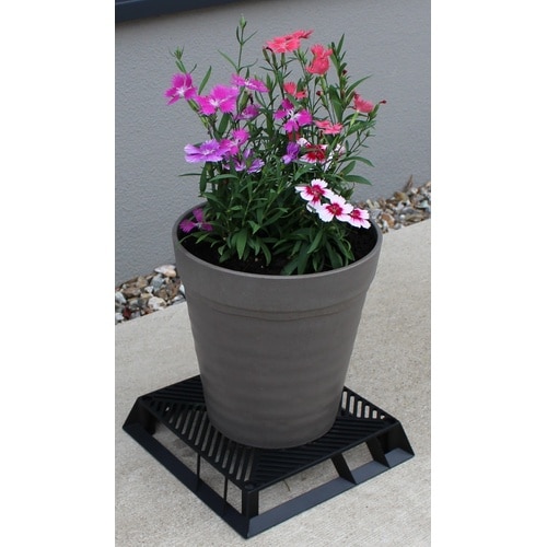 ブラックベース 24cm