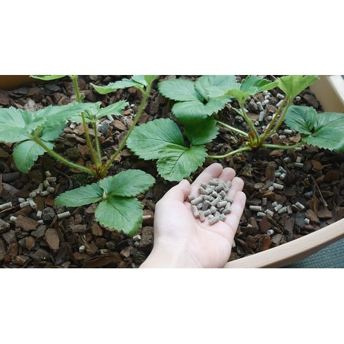 甘いイチゴをつくる肥料 500g
