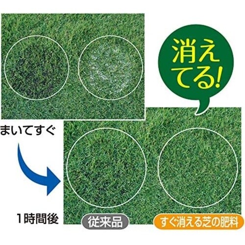 まいてすぐ消える芝の肥料 1kg