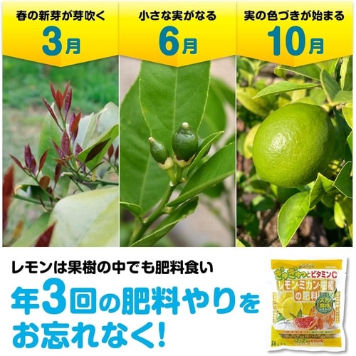 レモン・ミカン・柑橘の肥料 500g
