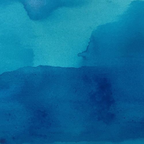 エッセンシャルインク カートリッジ 南の×4