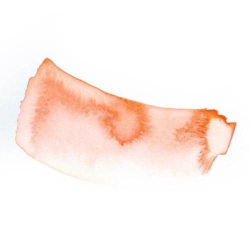 エクラ50ml 蛍光オレン×2