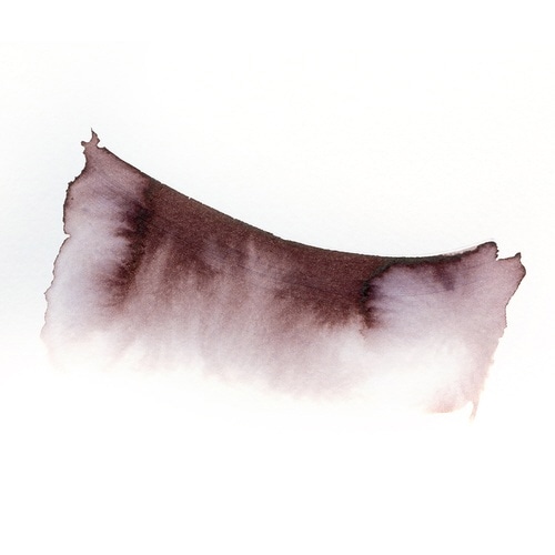 エクラ50ml トー×2