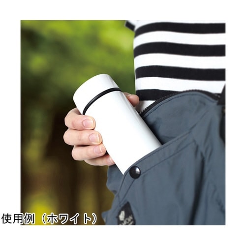 スリム真空ステンレスボトル 220mL