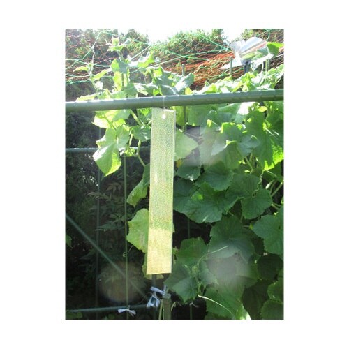 わたしの防鳥 5セット組